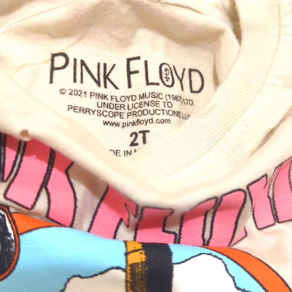 Pink Floyd twining moment